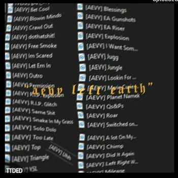 [嘻哈陷阱采样]aevy left earth kit [WAV]（37Mb）