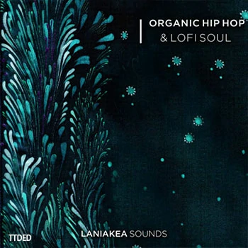 [低保真灵魂嘻哈RnB采样]Laniakea Sounds Organic Hip Hop And Lofi Soul [WAV]（477Mb）