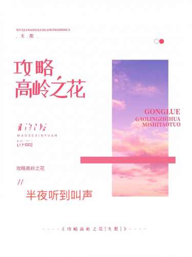攻略高嶺之花【無限】