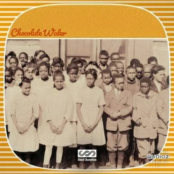 Soul Surplus 12th and Vine WAV-DECiBEL