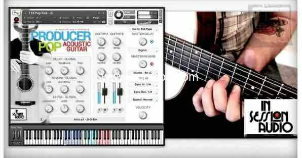 In Session Audio Producer Pop Acoustic Guitar 流行声学吉他