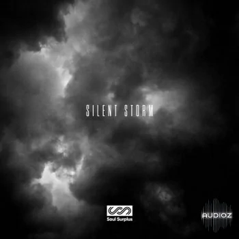 Soul Surplus Port Rich Vol 1 WAV
