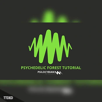 [教程]Psilocybian Psychedelic Forest（3.65Gb）