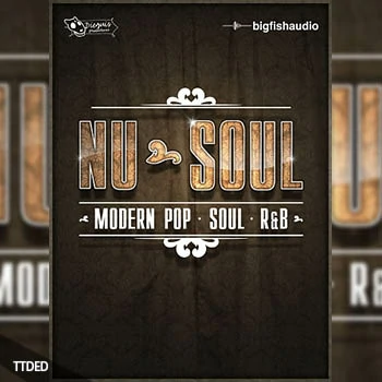 [流行灵魂RnB素材]Big Fish Audio Nu-Soul [多格式, KONTAKT]（18.7Gb）