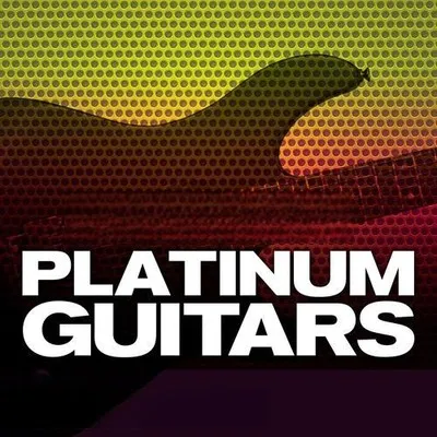 Steinberg Platinum Guitars VSTSOUND