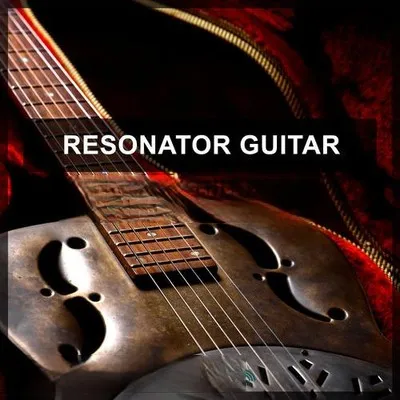 Steinberg Resonator Guitar VSTSOUND