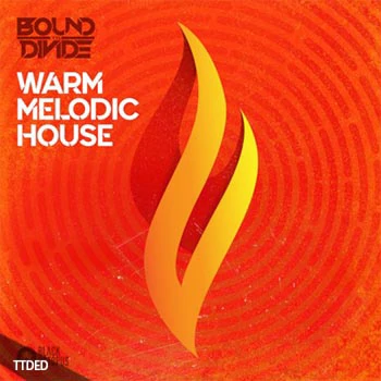 [House浩室素材Serum预置]Black Octopus Sound Warm Melodic House by Bound To Divide [WAV, MiDi]（141Mb）