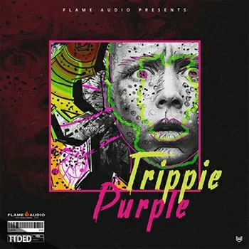[Trap陷阱采样]Trap Veterans Trippie Purple [WAV, MiDi]（225Mb）