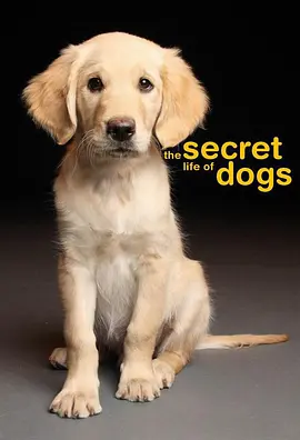 狗的秘密生活在线观看