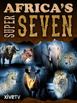 非洲七猛兽在线观看