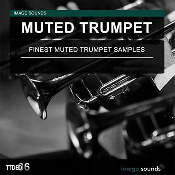 [闷音小号采样]Image Sounds Muted Trumpet 06 [WAV]（18Mb）