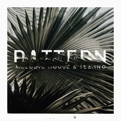 Zenhiser Pattern Melodic House and Techno WAV-FANTASTiC