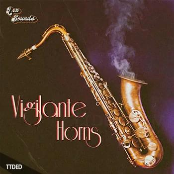 [爵士布鲁斯铜管采样]LEX Sounds Vigilante Horns [WAV]（468Mb）