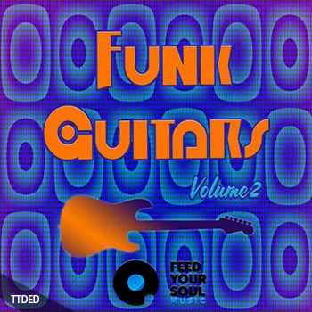 [放克吉他采样]Feed Your Soul Music Funk Guitars Volume 2 [WAV]（216Mb）