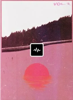 Wavsupply mjNichols VOL. 2 (Guitar Loop Kit) WAV