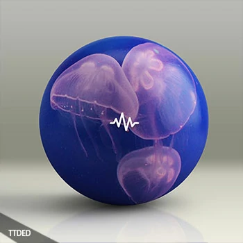 [Dancehall舞曲嘻哈鼓组采样]WavSupply Manso JellyFish (Dancehall Drum Kit) [WAV]（10Mb）