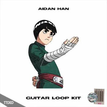 [怀旧氛围吉他采样]Aidan Han rock lee [guitar loop kit] [WAV]（200Mb）