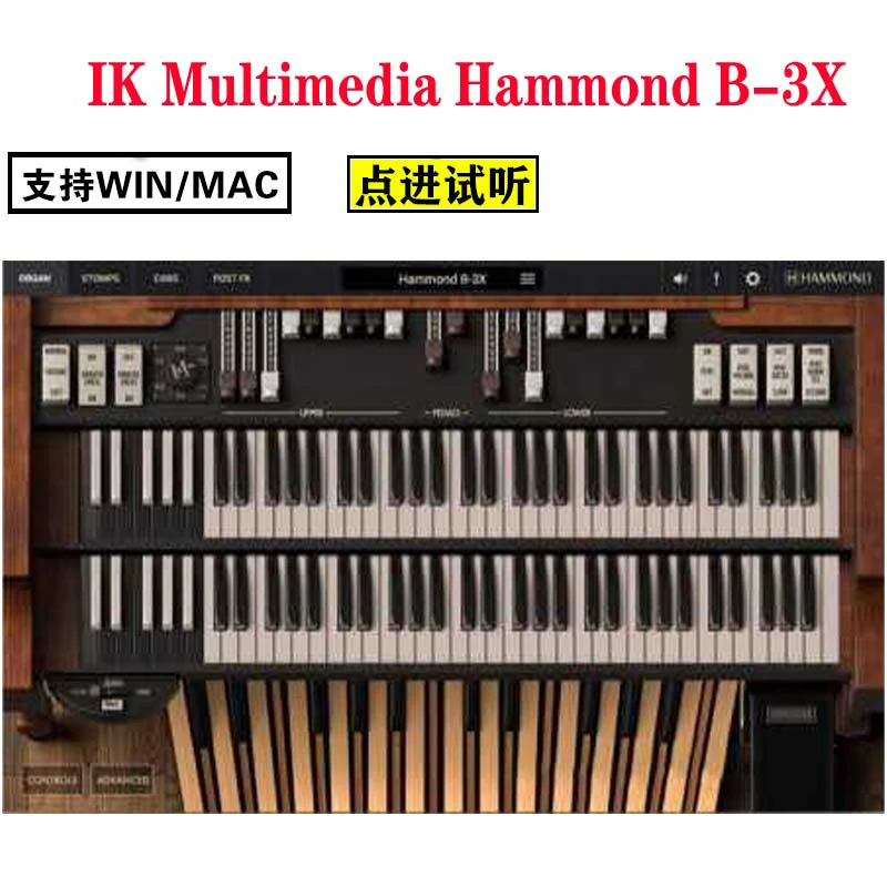 高级风琴 Multimedia Hammond B-3X v1.3.0 [WiN, MacOSX]