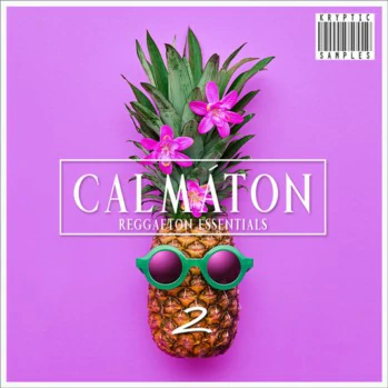 Kryptic Samples Calmaton 2 WAV MiDi-DISCOVER