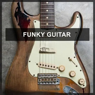 Steinberg Funky Guitar 1 VSTSOUND