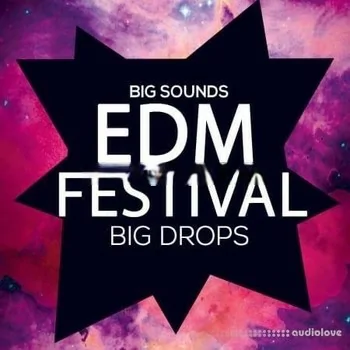 Big Sounds EDM Festival Big Drops [WAV, MiDi]
