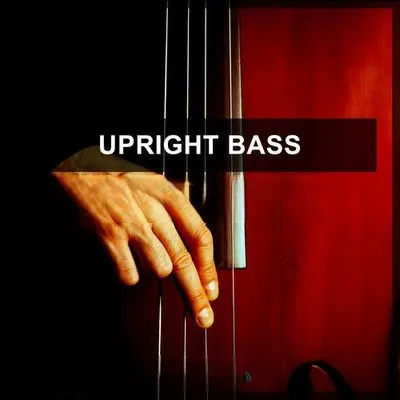Steinberg Upright Bass 1 VSTSOUND