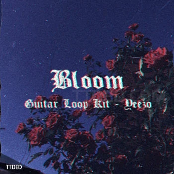[嘻哈陷阱吉他采样]Yeezo Bloom Guitar (Loop Kit) [WAV]（174Mb）