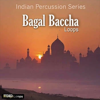[印度打击乐系列Bagal Baccha采样LOOP]Mango Loops Indian Percussion Series Bagal Baccha [WAV, AiFF]（59Mb）