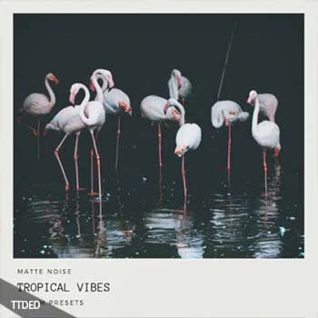 [Tropical热带休闲浩室Serum预置]GOGOi Tropical Vibes（950Kb）