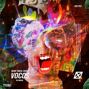 [流行嘻哈人声采样]nofuk VOCOS Vocal one shots (100 pcs) [WAV]（32Mb）
