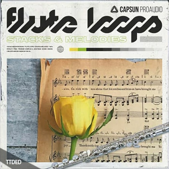[嘻哈长笛旋律音色LOOP]Capsun ProAudio Flute Loops Stacks And Melodies [WAV]（373Mb）