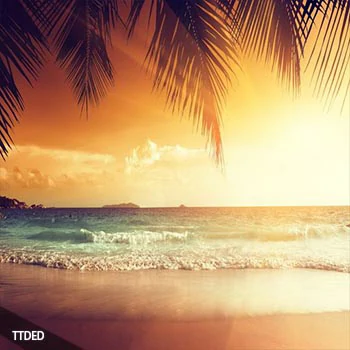 [Tropical House休闲舞曲采样]Tony Warrior Tropical Cheers [WAV]（11Mb）