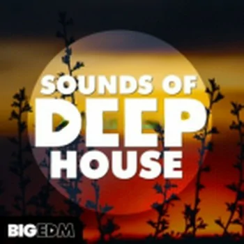 Big EDM Sounds Of Deep House WAV MiDi LENNAR DiGiTAL SYLENTH1 REVEAL SOUND SPiRE-DISCOVER
