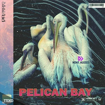 [灵魂嘻哈RnB采样]Nine Audio Pelican Bay [WAV]（85Mb）