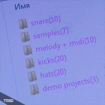 [科技浩室电子舞曲素材FL工程模板]Loneliness Shop Sample pack + 3 demo projects [WAV, MiDi]（171Mb）