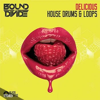 [House浩室采样]Black Octopus Sound Delicious House Drums and Loops [WAV]（103Mb）